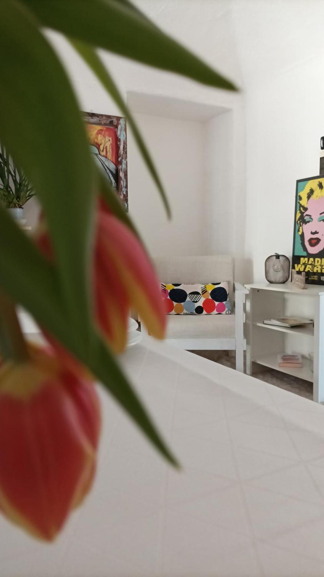 Quick Home - Interno 45 Biella Chambre photo
